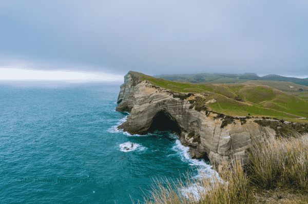 New Zealand Visit Visa