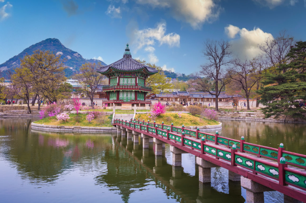 South Korea Study Abroad Counselling